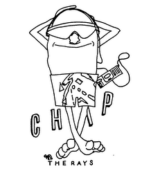 CHIP 'N THE RAYS logo