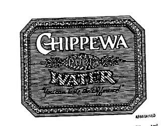 CHIPPEWA PURE WATER "YOU CAN TASTE THE DIFFERENCE ]" logo
