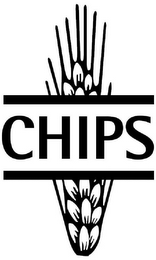 CHIPS logo