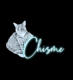 CHISME logo