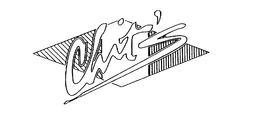CHIT'S logo