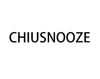 CHIUSNOOZE logo