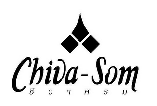 CHIVA-SOM logo