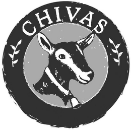 CHIVAS logo