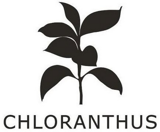 CHLORANTHUS logo