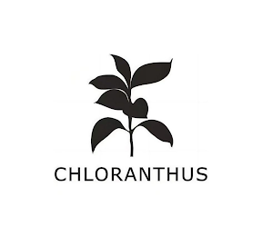 CHLORANTHUS logo
