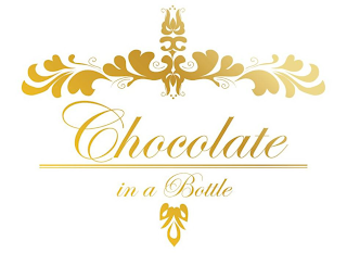 CHOCOLATE IN A BOTTLE logo