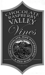 CHOCOLATE RASPBERRY VALLEY VINES FINE CHOCOLATE & RED WINE 14% ALC./VOL logo