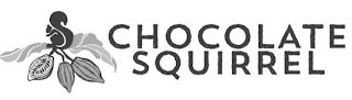 CHOCOLATE SQUIRREL logo