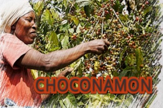 CHOCONAMON logo