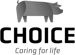 CHOICE CARING FOR LIFE logo