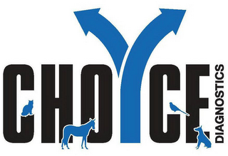 CHOICE DIAGNOSTICS logo