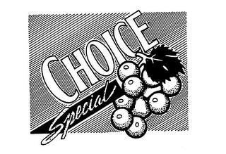 CHOICE SPECIAL logo