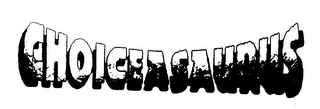CHOICEASAURUS logo