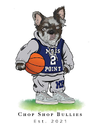 CHOP SHOP BULLIES EST. 2021 logo