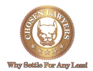 CHOSEN LAWYERS WHY SETTLE FOR ANY LESS! logo