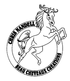 CHRIS NANDELL BEAU CHEVEAUX CREATIONS logo