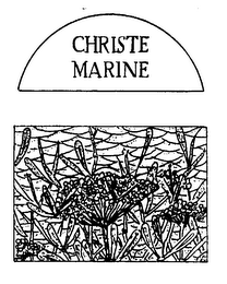 CHRISTE MARINE logo