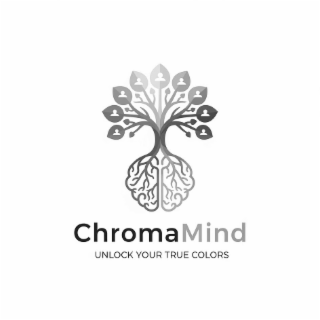 CHROMAMIND UNLOCK YOUR TRUE COLORS logo