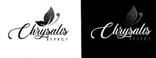 CHRYSALIS EFFECT logo