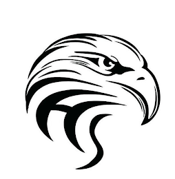 CHS logo