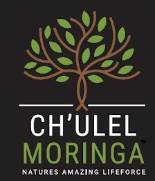 CH'ULEL MORINGA NATURES AMAZING LIFE FORCE logo