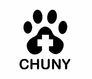 CHUNY logo