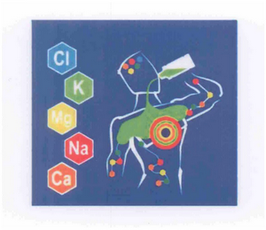 CI K MG NA CA logo