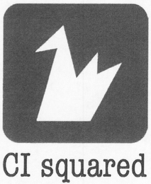 CI SQUARED logo
