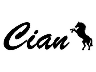 CIAN logo