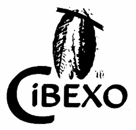 CIBEXO logo