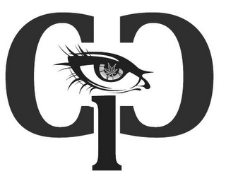 CIC logo