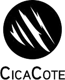 CICACOTE logo