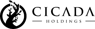 CICADA HOLDINGS logo