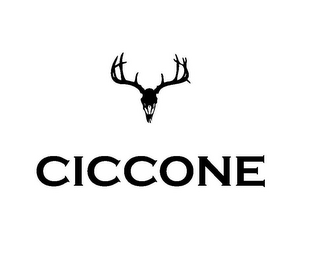 CICCONE logo