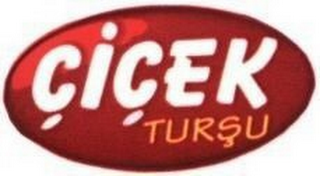 CICEK TURSU logo