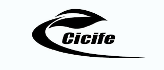 CICIFE logo