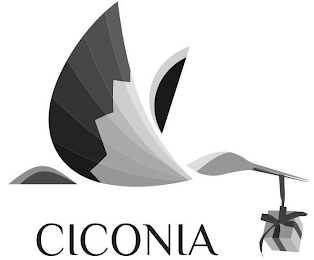 CICONIA logo