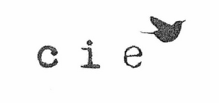 CIE logo