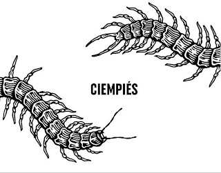 CIEMPIES logo