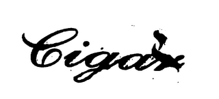 CIGAR logo