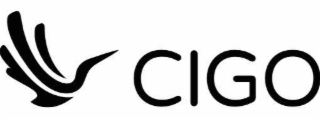 CIGO logo