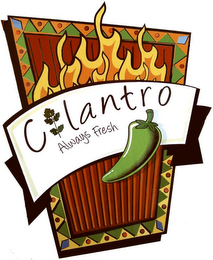 CILANTRO ALWAYS FRESH logo