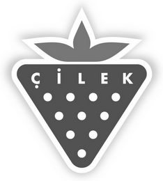 CILEK logo