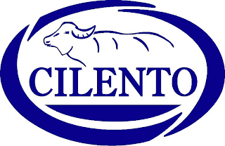 CILENTO logo