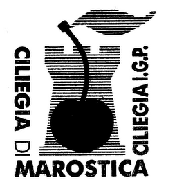 CILIEGIA DI MAROSTICA CILIEGIA I.G.P. logo