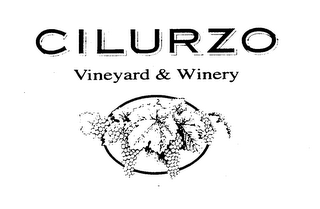 CILURZO VINEYARD & WINERY