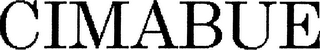 CIMABUE logo