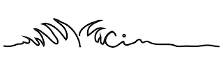 CIN logo