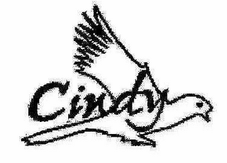 CINDY logo